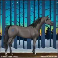 Horse Color:Grullo Sabino Rabicano 