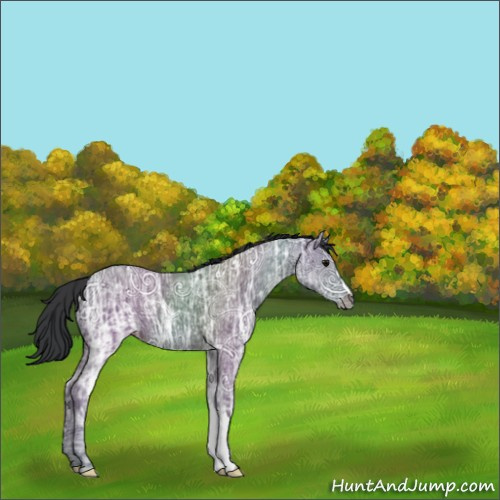 Horse Color:Black Ice 