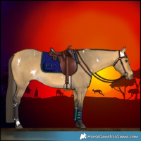 Horse Color:White Spotted Buckskin Dun 