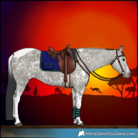 Horse Color:White Spotted Grullo Ice Tobiano