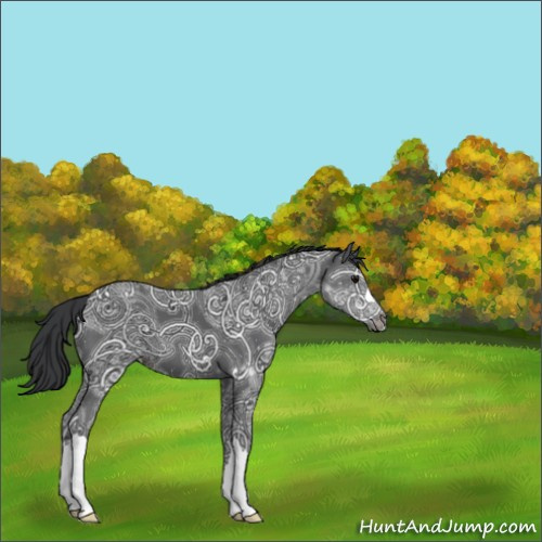 Horse Color:Black Ice 