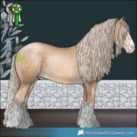 Horse Color:Chocolate Palomino Pearl Splash Rabicano