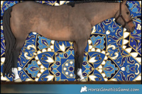 Horse Color:Brown Dun Brindle 