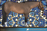 Horse Color:Brown Dun 