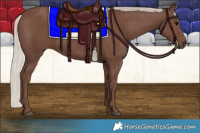 Horse Color:Silver Black 