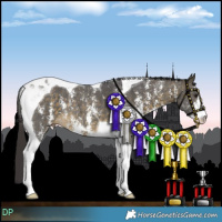 Horse Color:Buckskin Sabino Tobiano 