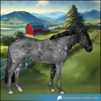 Horse Color:ERROR: UNKNOWN ANOMALY