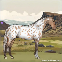 Horse Color:Silver Brown Dun Near Leopard