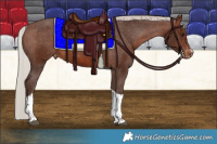 Horse Color:Silver Brown Tobiano Varnish 