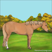 Horse Color:Chestnut  and Chestnut 