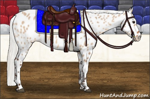 Horse Color:Silver Brown Dun Appaloosa