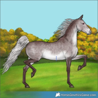 Horse Color:Chocolate Silver Brown Chinchilla