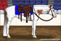 Horse Color:Bay Splash Tobiano Frame Varnish 