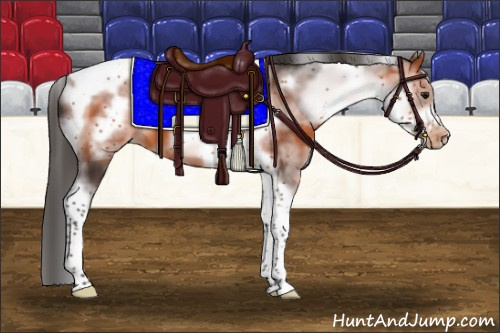Horse Color:White Spotted Bay Tobiano Frame Appaloosa