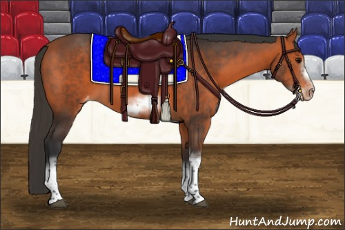Horse Color:Bay Sabino Tobiano Frame Appaloosa
