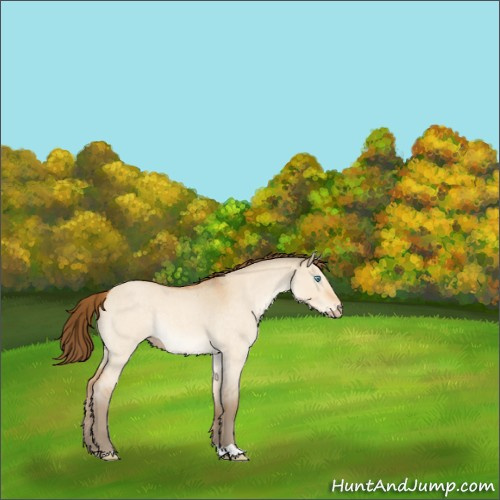 Horse Color:Gray Perlino Roan Dun 