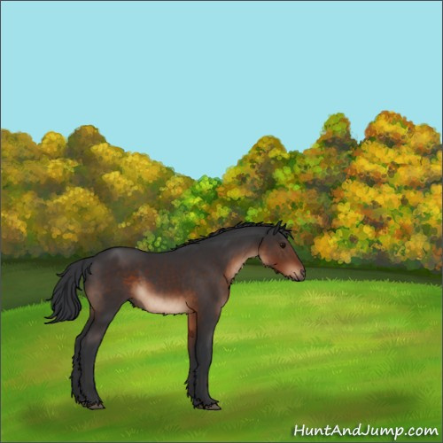 Horse Color:Brown 
