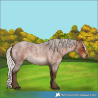 Horse Color:Silver Brown Roan Rabicano 
