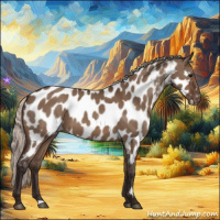 Horse Color:Silver Brown Dun Near Leopard 