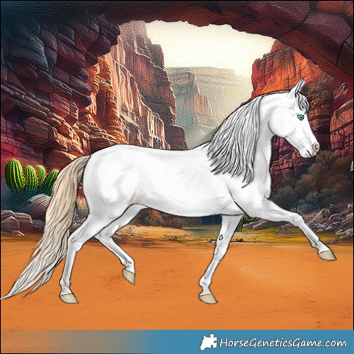 Horse Color:Buckskin Pearl Dun Splash Appaloosa 