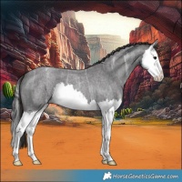 Horse Color:Smoky Blue Ice Roan Splash 