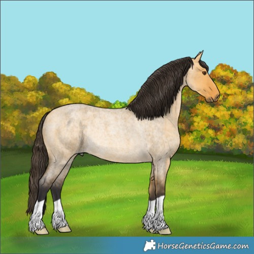 Horse Color:Buckskin Roan Dun Rabicano 