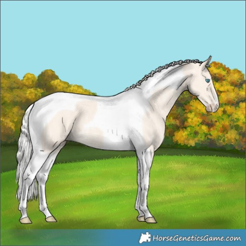Horse Color:Cremello Ice Tobiano 