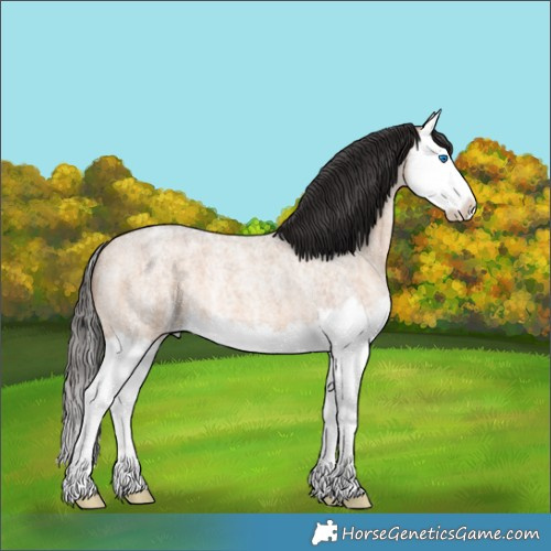 Horse Color:Bay Ice Roan Dun Splash 