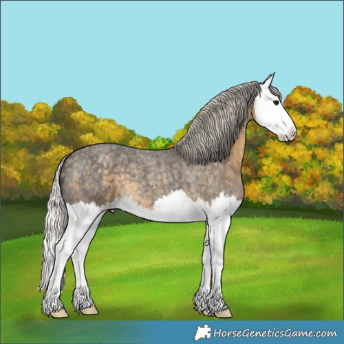 Horse Color:Silver Smoky Blue Roan Splash 