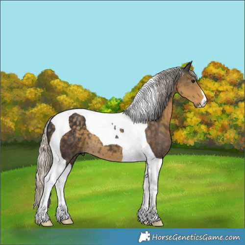 Horse Color:Silver Smoky Black Tobiano 