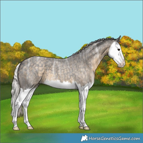 Horse Color:Silver Smoky Blue Ice Roan Splash 