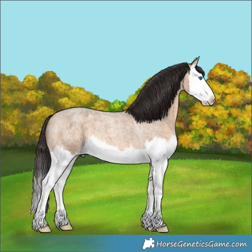 Horse Color:Bay Roan Dun Splash 