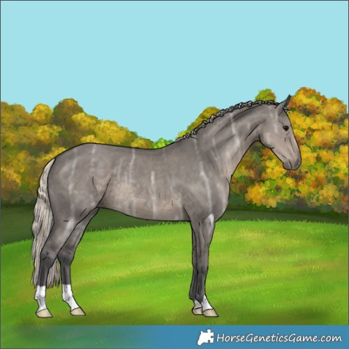 Horse Color:Silver Smoky Grullo Ice 