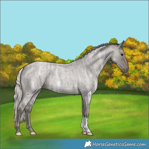 Horse Color:Silver Smoky Blue Ice Roan 