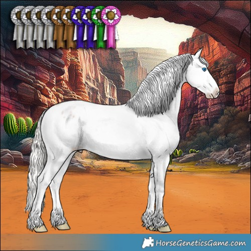 Horse Color:Silver Brown Ice Roan Splash Appaloosa 