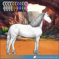 Horse Color:Silver Brown Ice Roan Splash Appaloosa 