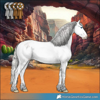 Horse Color:Silver Brown Ice Roan Splash Appaloosa