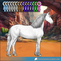 Horse Color:Silver Brown Ice Roan Splash Blanket 