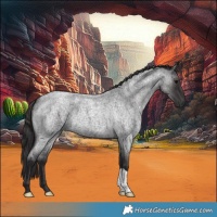 Horse Color:Smoky Blue Roan 