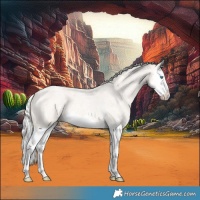Horse Color:Silver Smoky Creme Ice Roan Splash
