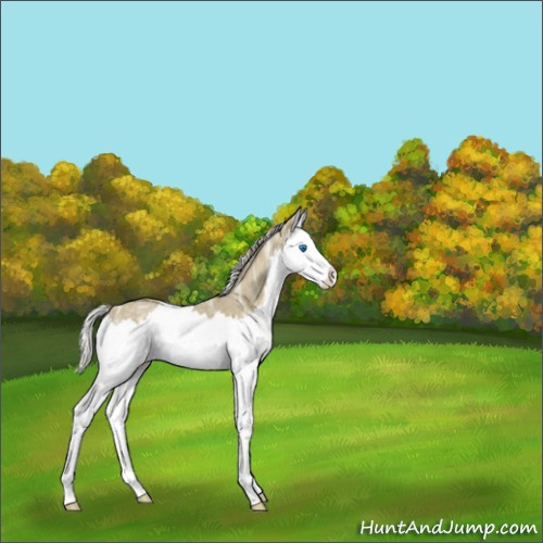 Horse Color:Silver Smoky Blue Ice Roan Splash 