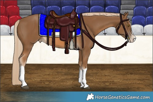 Horse Color:Chocolate Palomino Splash Tobiano Varnish 