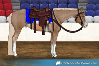 Horse Color:Chocolate Palomino Splash Tobiano Varnish 
