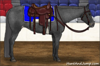 Horse Color:Black Appaloosa Rabicano