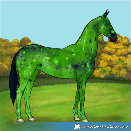 Horse Color:ERROR: UNKNOWN ANOMALY