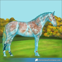 Horse Color:Painted Thunderstruck White Spotted Chestnut Ice Tobiano 