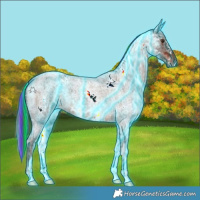 Horse Color:Painted Thunderstruck White Spotted Liver Red Ice Roan 