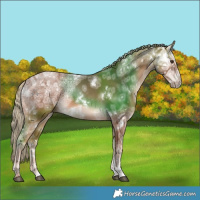 Horse Color:White Spotted Chestnut Ice Mushroom 