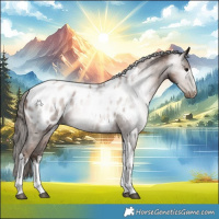 Horse Color:Gray White Spotted Black Pearl Tobiano Appaloosa Rabicano 