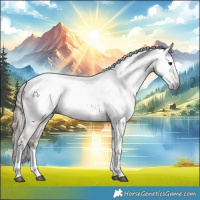 Horse Color:Gray White Spotted Black Pearl Tobiano Near Leopard Rabicano 